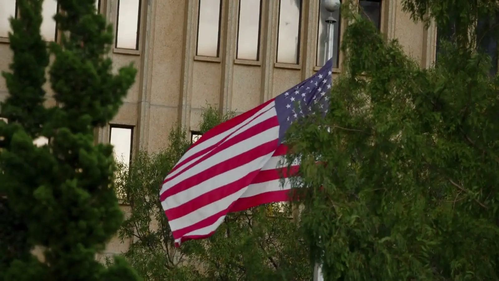 The US flag flying among trees
